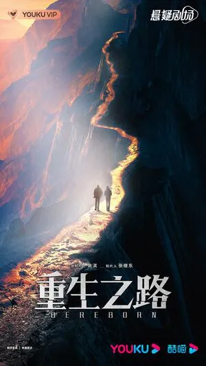 夏之光