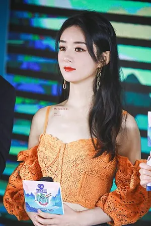Zhao Li Jun