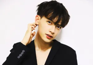 Chen Heyi
